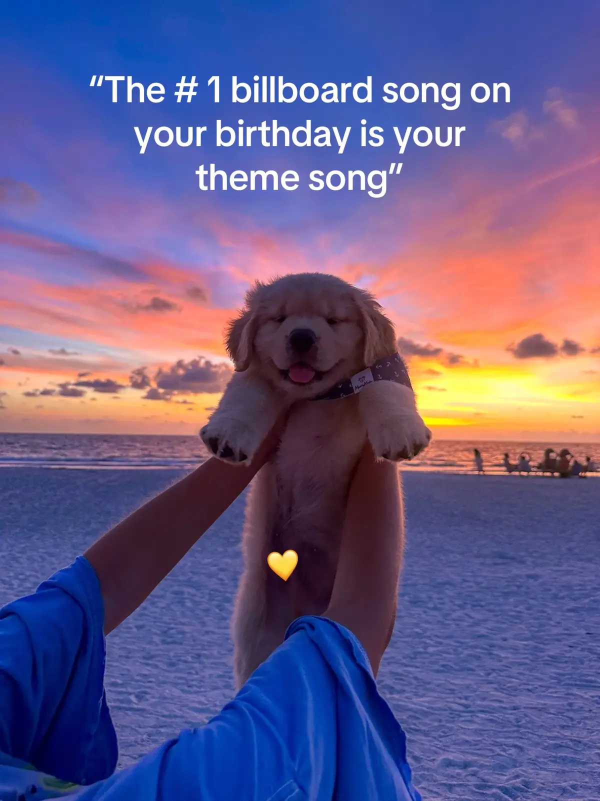 This is so fitting🤩 #creatorsearchinsights #petcontent #trend #puppytok #goldenretrieverpuppy #goldenretrieverlove #dogsoftiktok #ordinary 