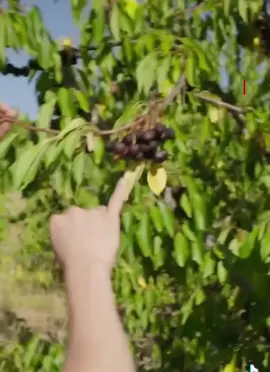 #ሰበር  ዜና ለስራ  ፈላጊዎች  በሙሉ
