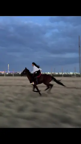 Шап 🐴#скачки #лошади #horse #horsesoftiktok #horsegirl 