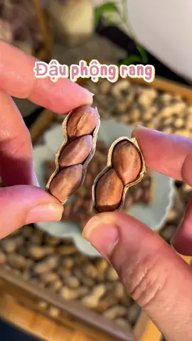 Đậu phộng rang tẩm vị,giòn giòn, bùi bùi, beo beo,ăn vặt ngon hết sẩy lun#xuhuong #LearnOnTikTok #ancungtiktok #riview #anvat #dauphongtamvi #@bepnhangan94