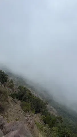 #ابها#السودة