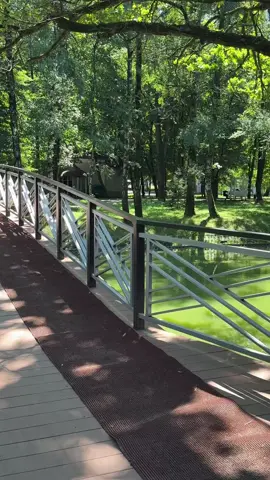 Мама любила більше дочку, а на старість таки прийшла до сина