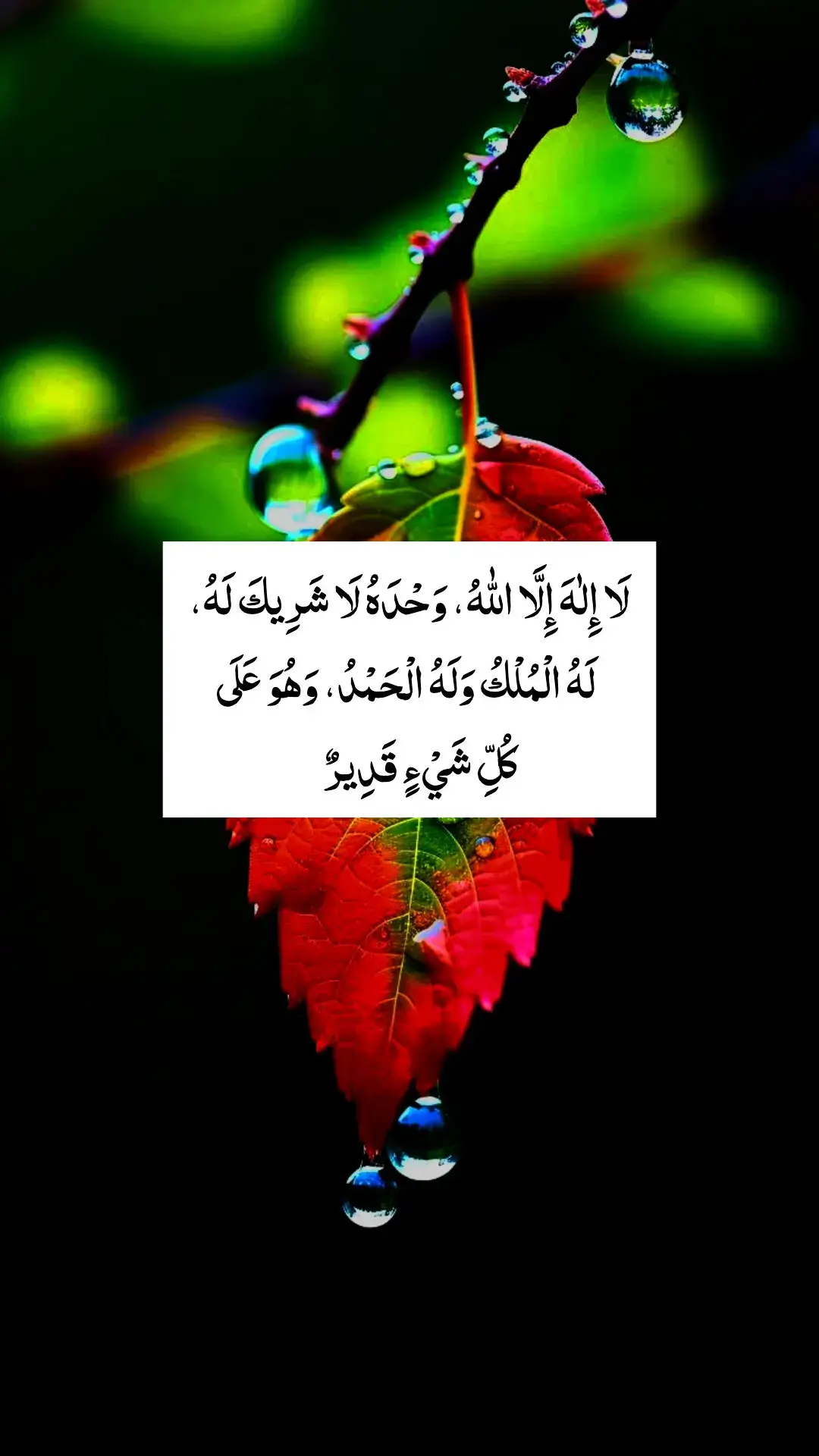 The phrase you've written is a beautiful declaration of Tawheed (Oneness of Allah). Here is its correct Arabic version and translation: Arabic: لَا إِلٰهَ إِلَّا اللّٰهُ، وَحْدَهُ لَا شَرِيكَ لَهُ، لَهُ الْمُلْكُ وَلَهُ الْحَمْدُ، وَهُوَ عَلَى كُلِّ شَيْءٍ قَدِيرٌ Transliteration: **Lā ilāha illallāhu, waḥ