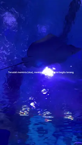 Apapun itu tetap berdoa #bismillahfyp #pejuang #fyp #pejuanggarisdua #foryou #foryoupage 