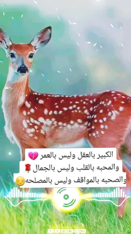 #🥹💘🦋 #جبر_الخواطر #جبر_الخواطر #عبارات_الفخمه📿📌 
