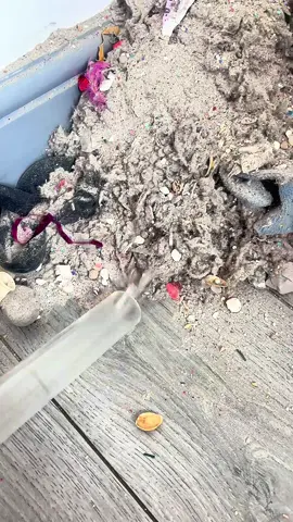 Clear hose; BIG MESS TEST✨.                                         #satisfyingvideos #satisfyingsounds #CleanTok #asmrcleaning #crunchyasmr 