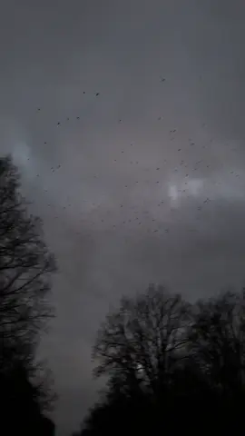 #decalius #loneliness 