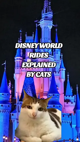 like if you agree :) #disney #disneyworld #disneytiktok #disneyadult #disneyparks #disneyrides #cat 