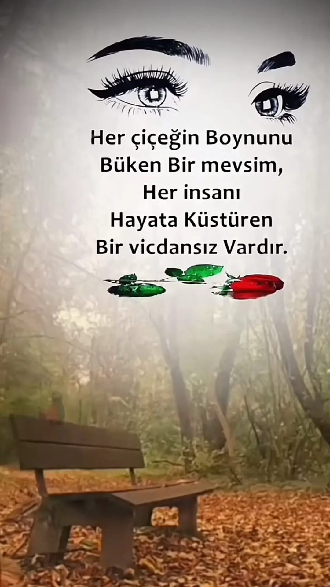 #keşfetedüş #beniöneçıkart #beniöneçıkart #keşfetedüşürbenitiktok #herkessevdiginesevdiginisöylesin #fypシ 