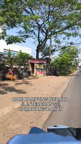 LOKASI BAKMI BANGKA JEPANG (dari arah Kampung Budaya, Jl. Interchange Karawang Barat)  Yukkk yg dri kemarin masih bingung lokasi Bakmi Bangka Jepang ada dimana, sudah di spill yaa lokasinyaa 🥰🥰 📍 Perumnas blok J no 41, Sukaluyu, Telukjambe Timur 📍Bojongtugu, Rengasdengklok (Sebrang puskesmas Rengasdengklok, sebelah O!save)  ⏰ 08.00- 18.00 (Karawang) Terima Pesanan: - 0813- 8988- 9530 (Karawang)  - 0812- 9345- 9999 (Rengasdengklok)   @bakmibangka.jepang (instagram) Halal: ID32110019447050824 #bakmibangkajepang #karawangviral #infokarawang #kulinerkarawang #fyp 