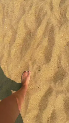 AHSIES 🏖️ 