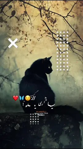 #CapCut Hu sir 🤚❤️ #تمپلیت_جدید  نـــو ته پـــــاچاېې  هو 😊💯#تمپلیت_جدید #رپ_پشتو #رپ_فارسی #اهنګ_پشتو #اهنک_افغانی #اهنک_ایران_غمگین_غاشقانه #creatorsearchinsights #oo__3salar_afg 