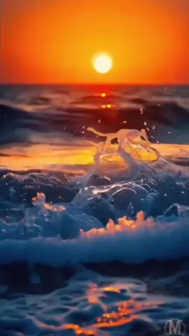 #مغربية🇲🇦 