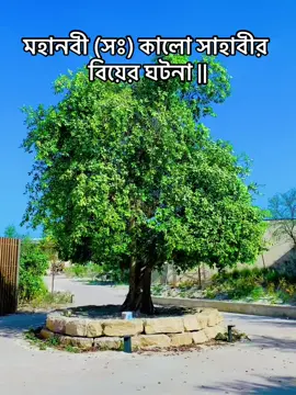 #মহানবী_হয়রত_মুহাম্মদ_(সঃ) কালো সাহাবীর বিয়ের ঘটনা  #ইসলামিক_ভিডিও_🤲🕋🤲১বার_শেয়ার_করেদিন 