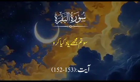 #Allah #alquran #foryou #Quran #tiktok #islamic#islamic_video #fyp #islamic #forypupage