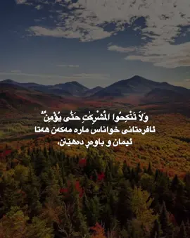 #سعد_الغامدي #استغفرالله♥️ #قورئان #دعا #quran #الله #fyp 