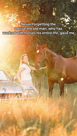 They always give the best advice!!♥️✨ #horses #advice #mentor #equestrian #horsegirl #pony #horselife  🎥@Inge Kempers 