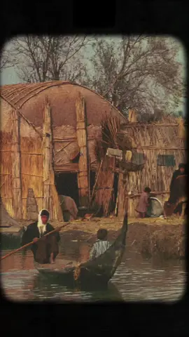 ناصر حكيم - طرب عراقي قديم (غناء الابوذية) #غناء #عراقي #viral #ArabTikTok #explore 