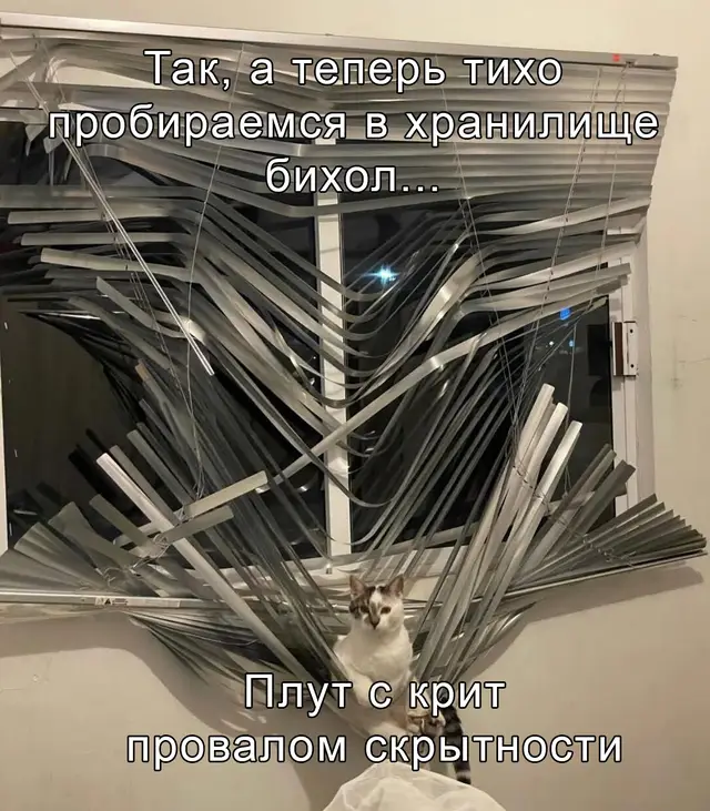 #dndmeme #dndtikrok #beholdder #бихолдер #дндмем #дндтикток 