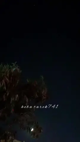 لا بينما عتاب ولا بينا كلام تاني... #explore #تصويري #foryou #اللي_بنزله_ملوش_علاقه_بحياتي #البوم_جنات_الجديد #edits #foryoupageofficiall #fypp #جنات #hebatarek741 