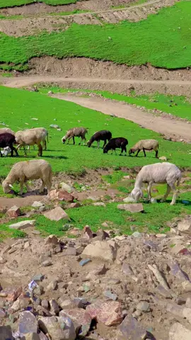 Kumrat valley Badh Gai top💦👌👍#viraltiktok #kumrat_valley #kalamvalley #1millionaudition #foryoupage #foryou #viral #majeedkumratvalley #foryou 