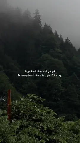 في كل قلب هناك ألم لا أحد يعرفه 🖤#👤 #🖤🥀 #اشتياق #R #🤍 #الم 