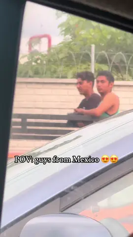 They be staring so hard makes me fall in love 😩🤣 #mexico🇲🇽 #jalisco #staring #funny #jet2holidays #fyp #parat #mexicocheck #vallarta #foryou 