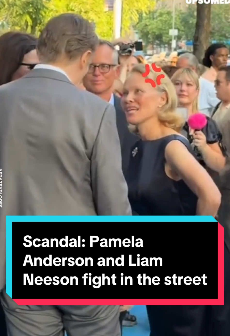 Scandal: #PamelaAnderson and #LiamNeeson fight in the street #entretenews #scandal #gossip #celebrity #famous #actor #fight