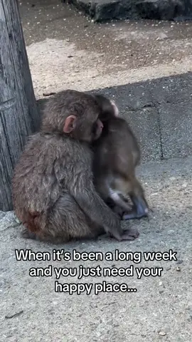 When it’s been a long week and you just need your happy place… #happyplace #safespace 