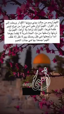 #امـــــ🖤ـــــي 