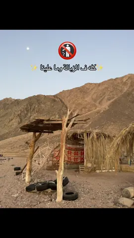 #شاهين #viralvideo 