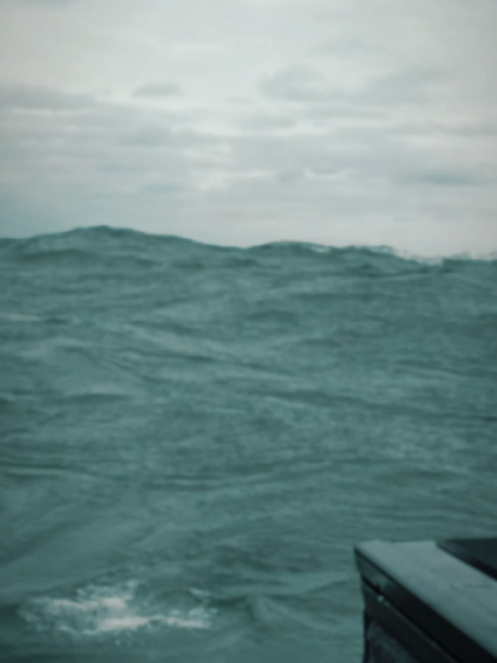 From Rough Seas to Perfect Fishing Conditions We Produce Results! #fis #fyp #walleye  #Outdoors #lakeerie 