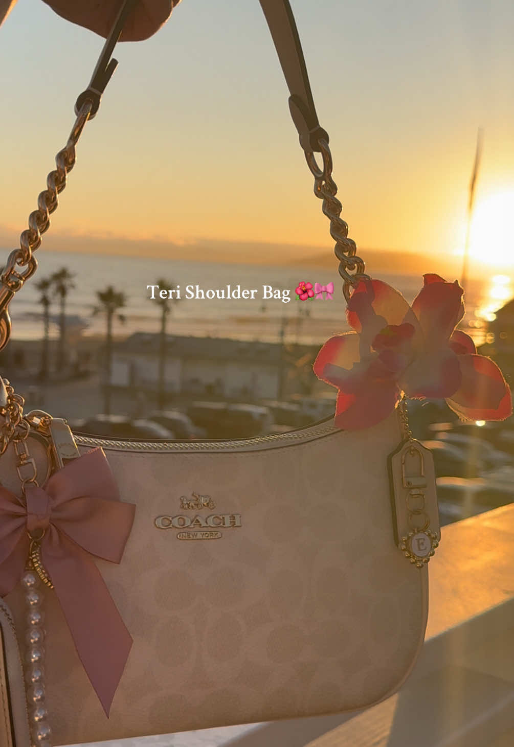 My favorite I’ll never get over her😍😍. #coach #coachbag #coachpurse #coachteri #terishoulderbag #signaturecanvas #purse #california #sunset #beachsunset 