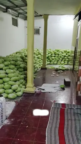 40ton hari ini #promomakanmerdeka #fyp #malang #malanghits #sayur #kol #gubis #kubis #kentang 