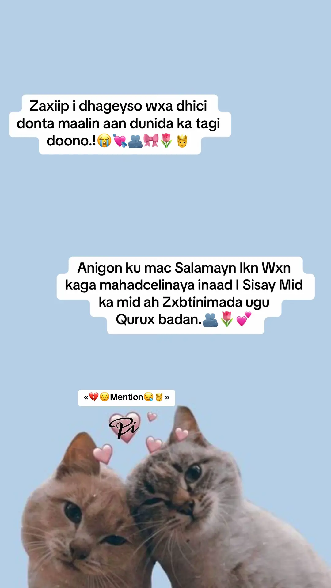 #viraltiktok #music #fypageシ #muqdisho_somalia #forever #fypp #song #bff  #fypppppppppppppppppppppp #fyp #foryoupage #fyp #foryou #stitch #videoviralitiktok #somalitiktok #fyp #muqdisho_somalia #typpp #somalilandtiktok💚🤍❤ #viral #viral? #viral? #tiktoke #sheikh #burtasheekh #somaliland #moreviews #follow #following #somlitiktok #fyp #fyipシツ  #viraltiktok #foryoupage #viewsproblem😭 #somalitiktok  #foryou #viewsproblem💔😔 #typpp #somalilandtiktok💚🤍❤  #viral #viral? #tiktoke #fypdonggggggg #fypp #fyvpシ #ciyaalxamar  #somalitiktok🇸🇴  #ciyaalxamar #tiktokveral #tiktokveracruz  #nairobitiktokers  #viral #foryou #veiwsproblem💔😶  #viewsproblem😭 #viewsproblem💔😔