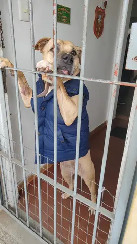 😅 #paratiiiiiiiiiiiiiiiiiiiiiiiiiiiiiii #foryoupage #fyp #libertaparaeltito #privadodesulibertad #preso 