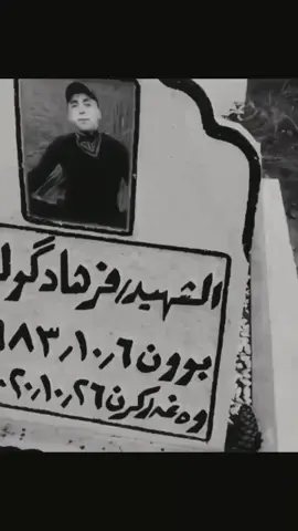 فه رهاد گولي🔥😍#دهوك_زاخو_سليماني_ئاكري_ئامیدی_هولیر #duhok_zaxo_amedi_semel_akre 