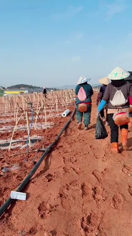 @김수진🇰🇷cuộc sống bên Hàn Quốc 