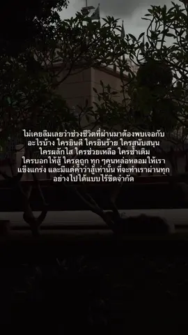 #สู้  #คําคมโดนๆ #ฟีดดดシ #เธรด #เเคปชั่น #ความรู้สึก #ทานตะวัน 