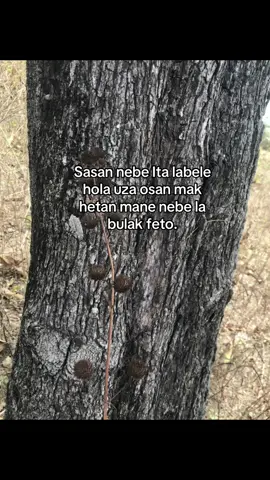 #fyppppppppppppppppppppppp #fypage 