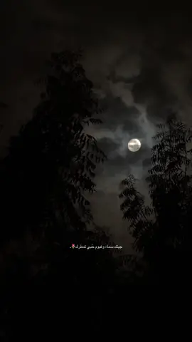 قمر وغيوم اكتمل الجمال🫂🖤🖤🖤.                      #explore #fyp #اكسبلور #viral #قمر #راشد_الماجد 