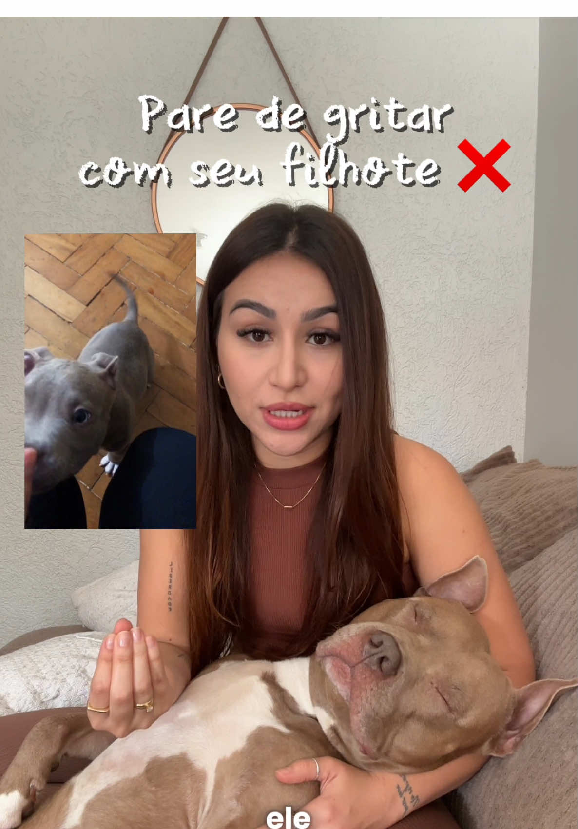 Pare de gritar com seu filhote e faça isso. 🐶♥️ . . #adestramento #filhote #pitbull #pitbulls #cachorro #viral #comportamientocanino 