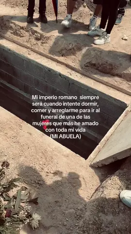 Te voy a extrañar toda la vida Tita linda,gracias por todo lo que hiciste por mi bebé y por mi👵🏼🤍