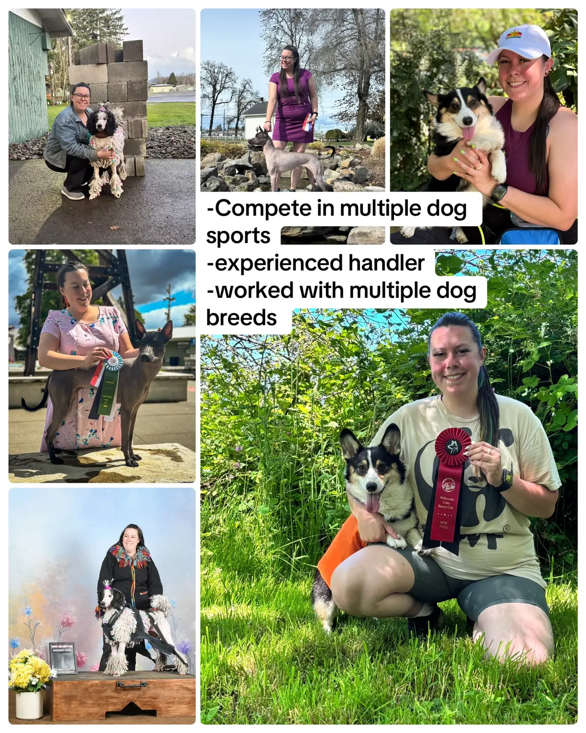 I’m not crying, you’re crying 😭 #maslowthetrickcorgi #dogsoftiktok #dogmom #dogtrainer 