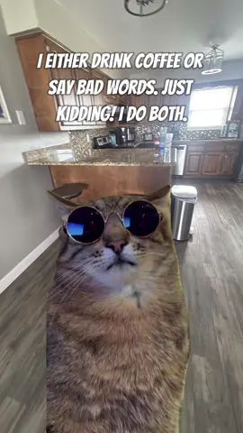 #Meme #MemeCut 