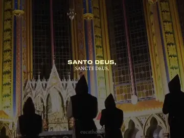 Media Vita In Morte Sumus #cantogregoriano #catolicos #igrejacatolica #catolicismo #jesus #foryou #fyp #foryoupage #viral 
