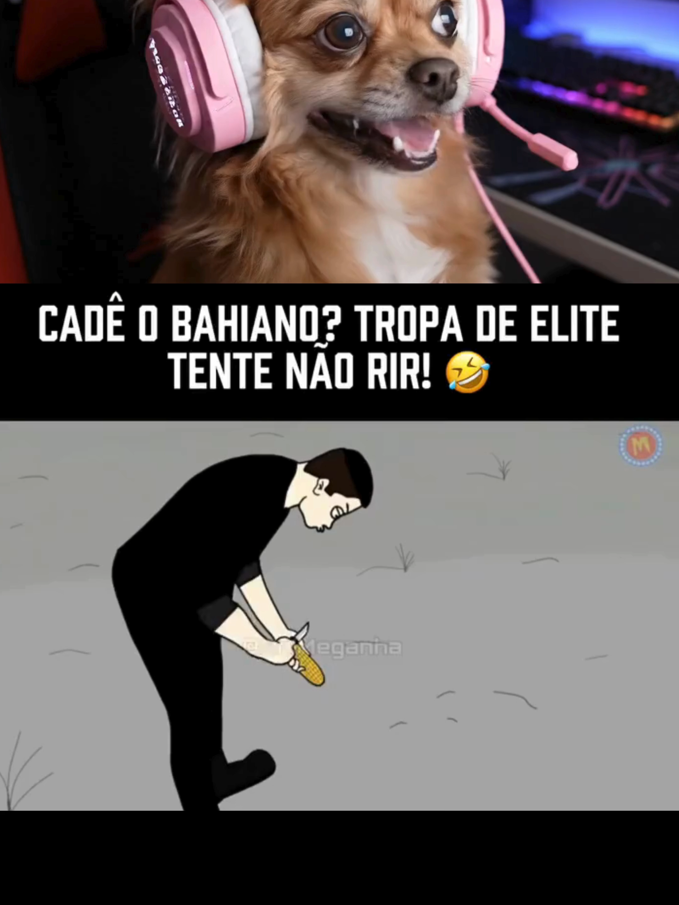 Créditos: #AnimaTube#Lula #Padre #AnimaTube #reagindo #tropadeelite