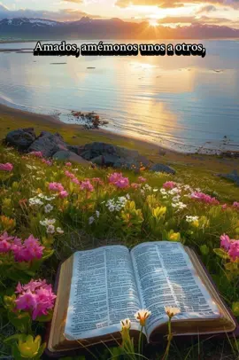 🤍❤️ DIOS ES AMOR 🤍❤️ #fyp #fy #Jesus #biblia #parati  #versosbiblicos #jovenes #fypシ  #paratiiiiiiiiiiiiiiiiiiiiiiiiiiiiiii #Dios  #bibliasagrada #viralvideo  #foryou #latino #bibliatiktok 