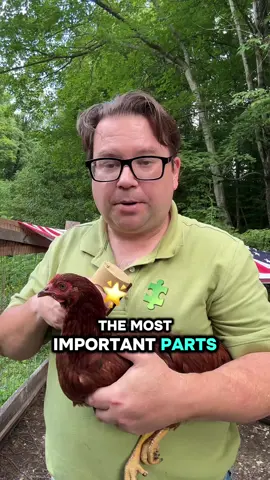 Check out Maggie’s new brush she got from the TikTok shop. #remodelmedia #respectthewhisk #chicks #chickencoop #chickens #babyanimals #dog #dogsoftiktok #puppy 