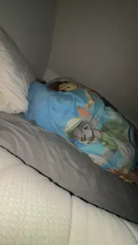 @Lucas⚽️ holy crashout igjen🥀🥀#penger #fypp #dyne #lucas #runkertillisa 